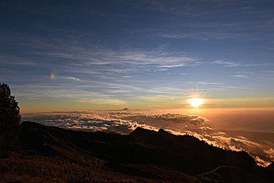 橙光游戏《声息》Steam页面上线 发售日待定